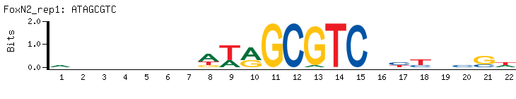 ATAGCGTC
